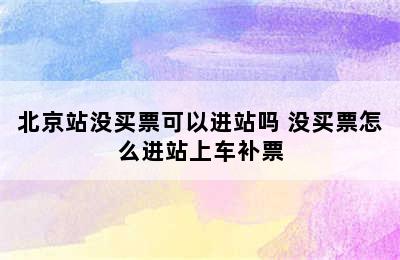 北京站没买票可以进站吗 没买票怎么进站上车补票